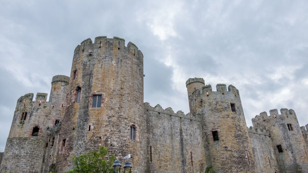 conwy castle