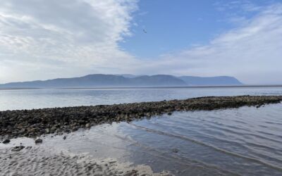 5 Best Beaches in Conwy County