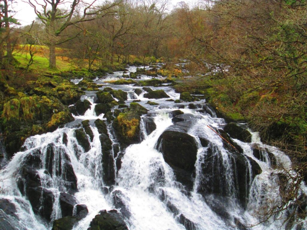 swallow falls